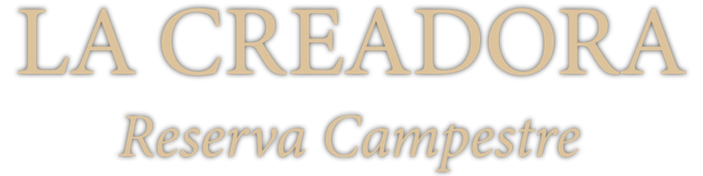 carvajalinversiones.com.co